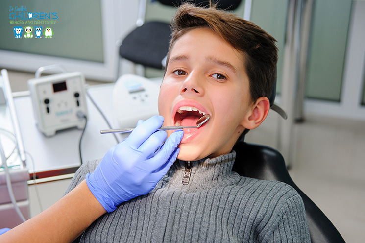 Orthodontic Appliances